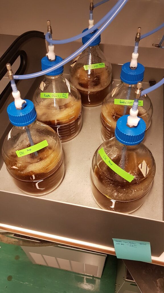 Let's produce that Cas9!