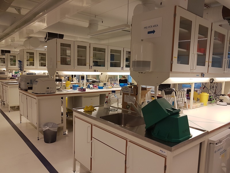 Our old lab, 2019-2020