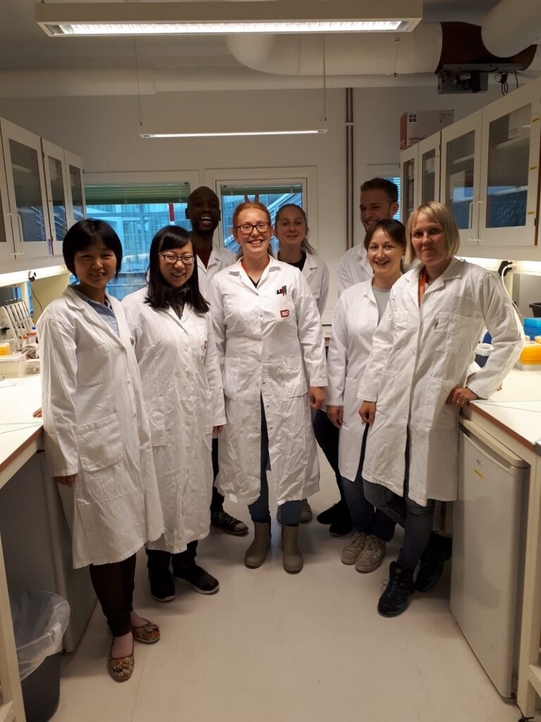 Our team: Mengtan (guest), Zhuokun, Kathrin, Monika, Emma; at the back: Thapelo, Anna, Bas; October 2019